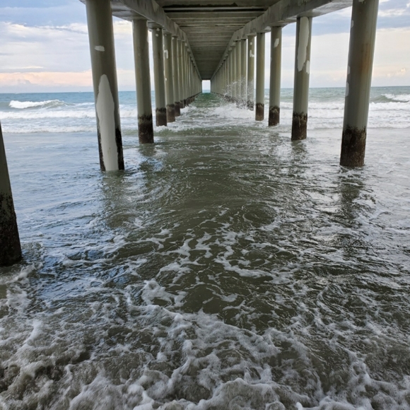 Meet Your Posher💕 - Picture 2 of 2